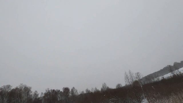 Охота на Косулю! Охота в метель! Узнаём новые места! смотреть онлайн