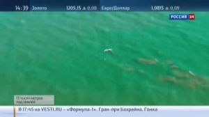 Подробности проекта Сахалин-1. Технологии, затраты и выгода.