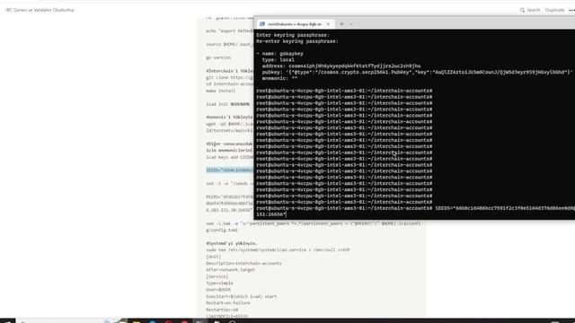Quicksilver Ödüllü Testnet IBC & Validator Görevi смотреть онлайн