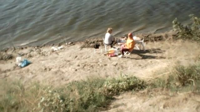 Дарьевка пруд смотреть онлайн