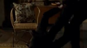 Неизвестный  2011 DUAL BDRip XviD AC3  HQ ViDEO