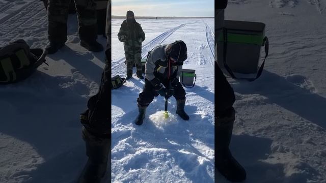 #рыбалка#ладога#электробур смотреть онлайн