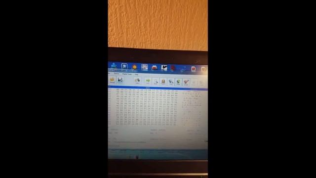 Programming Chip Volvo S40