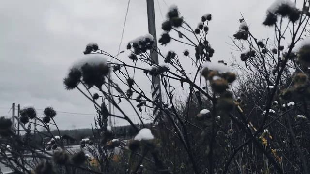 VID 20231114 152650 Я не люблю двора, но в Риме...(Жоашен дю Белле)...Павел Васильев Лахтинский смотреть онлайн