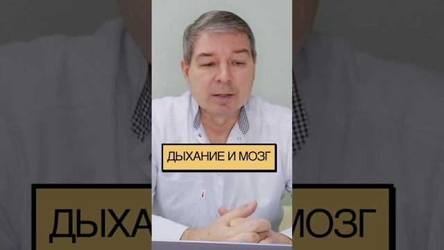 Дыхание и мозг смотреть онлайн