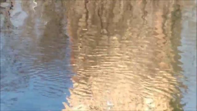 Тесты джеркбейта Naze Baits Livid Fish 7 смотреть онлайн