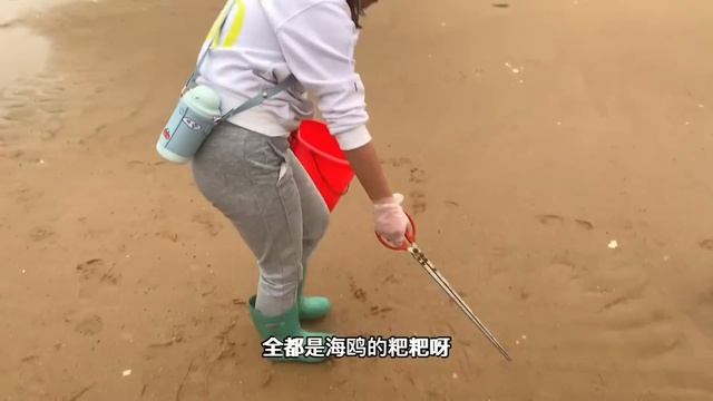 【合集】牛牛趕海竟然發現神秘大坑，擱淺一值錢大貨，直呼發財了【牛牛趕海海鮮】 смотреть онлайн