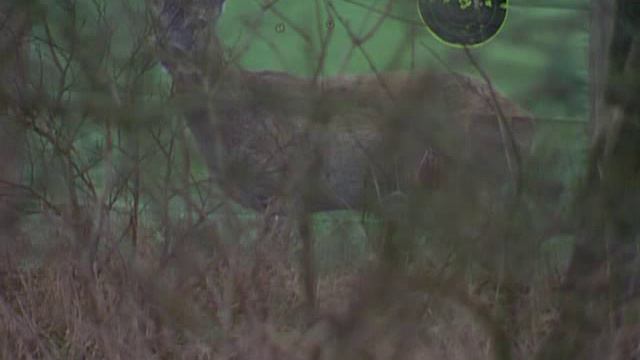 Стрельба через траву и кусты смотреть онлайн