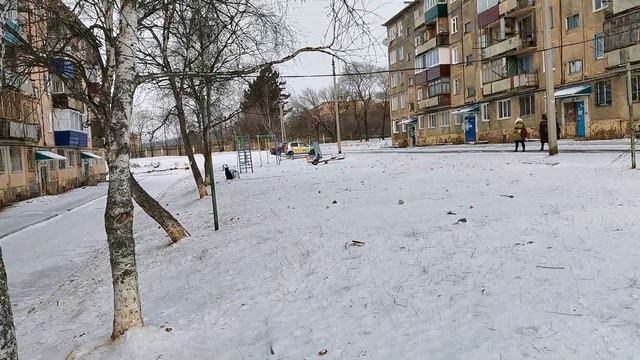 #Комсомольск # Как собаку обучить? Не слушается/Мы гуляем. 21.01.2021г. смотреть онлайн