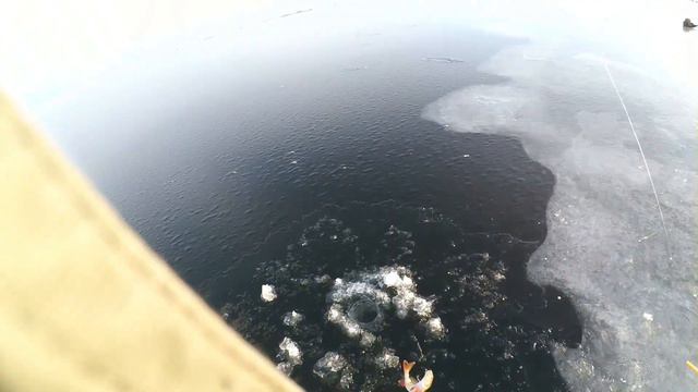 Первый лед - 2019 / Окунь на БЛЕСНУ или МОРМЫШКУ? Что лучше? смотреть онлайн