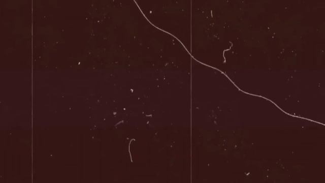 Scene Sense - Intro | Join our Team | Grow your Team | Discussion Forum смотреть онлайн