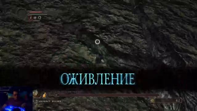 Dark Souls 2 Scholar of the first sin №2 Упокоение последнего гиганта смотреть онлайн