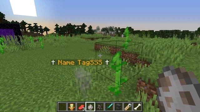 MINECRAFT | Pet Heaven! Make Pets Come Back to Life! Datapack смотреть онлайн