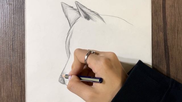 how to draw a wolf | easy pencil drawing idea for beginners step by step | animal sketch | draw wol смотреть онлайн