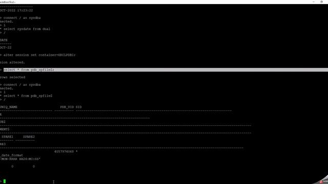 Pluggable Database Parameters смотреть онлайн