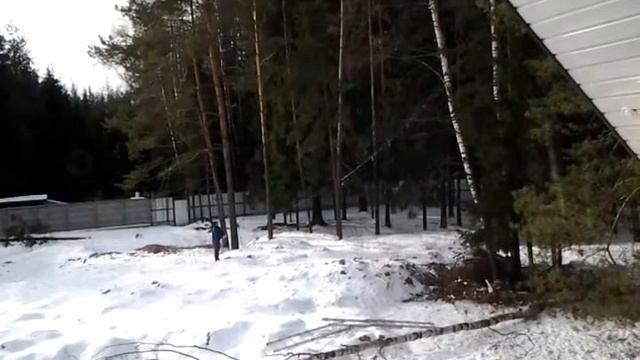 Узбеки и Таджик валят деревья ))) смотреть онлайн