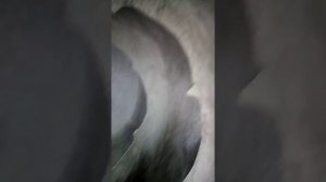 В бетономешалке застыл бетон как чистят