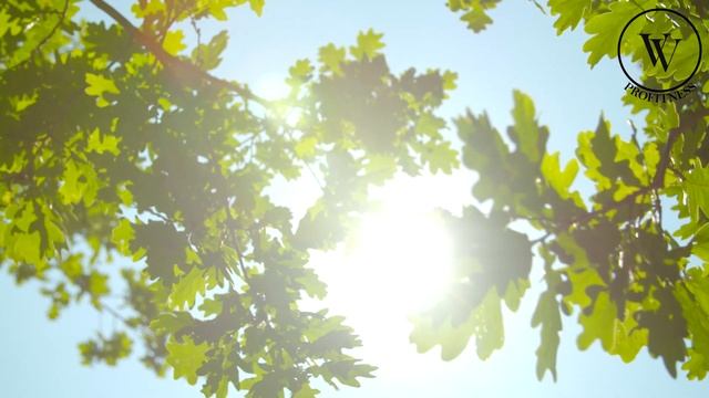 Экспресс-медитация и релаксация | 3 минуты осознанного дыхания смотреть онлайн