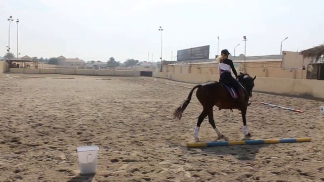 Georgina Wiggins & Rocket Boy - Dressage4All Prelim B January 2021 смотреть онлайн