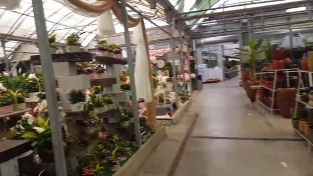 Alhaurin de la Torre ( VIVEROS GUZMÁN ) Garden Center смотреть онлайн