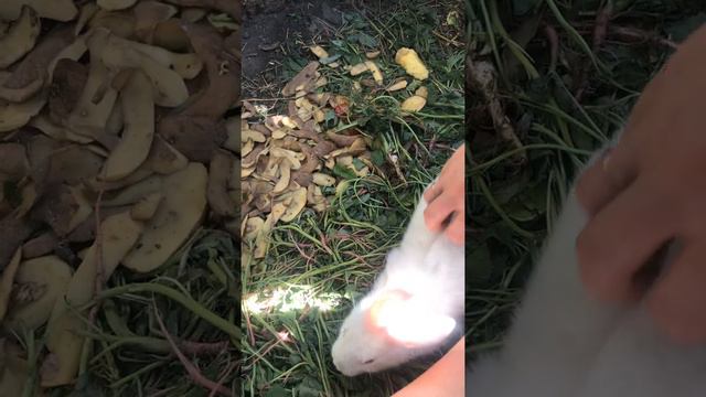 Они издеваются 😘😂снимаю уходят, перестану выходят😂😂😂 смотреть онлайн
