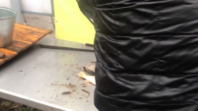 18.04.2018 Савельево Ольгово улов Денчика смотреть онлайн