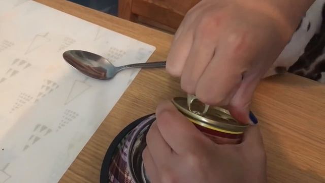 Покупки из зоомагазина ДЛЯ РЫБОК И СОБАК+ДВА НОВЫХ ПИТОМЦА/МОЙ АКВАРИУМ смотреть онлайн