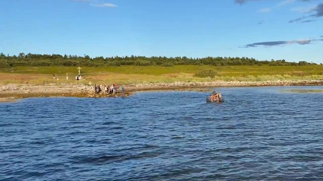 Соловки, август 2022 По следам Св. Виктора смотреть онлайн