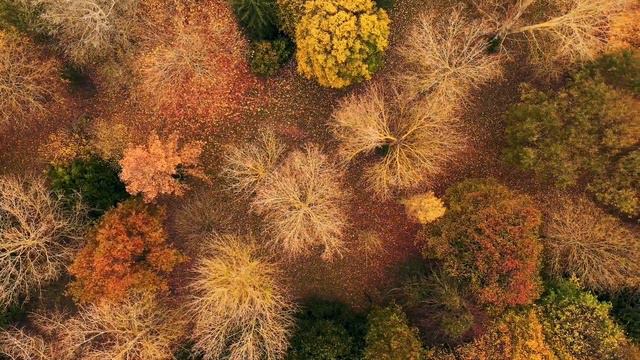 Relaxing Piano Music 2021. Релакс музыка пианино.