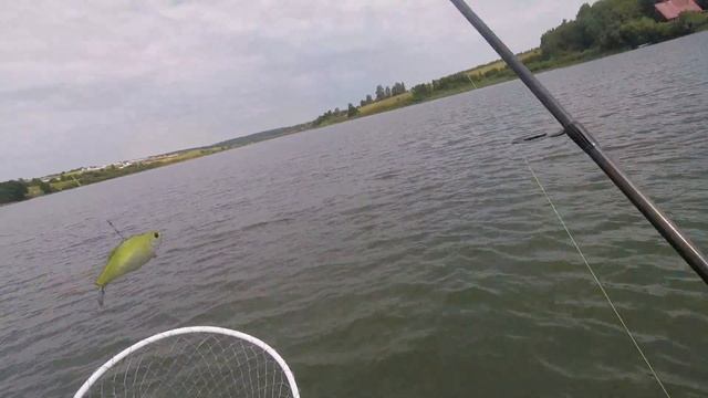 Ловля щуки на  ратлины