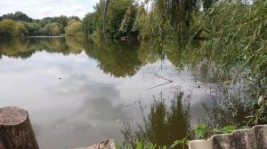 СУПЕР снасть БОКОВОЙ КИВОК Ловля КАРПА на горох Рыбалка на боковой кивок и летняя мормышка