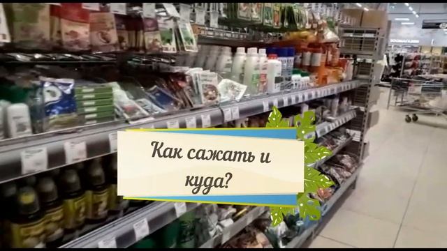 Группа Дача в Подмосковье смотреть онлайн