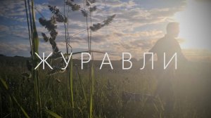Песни Великой Победы - «Журавли»