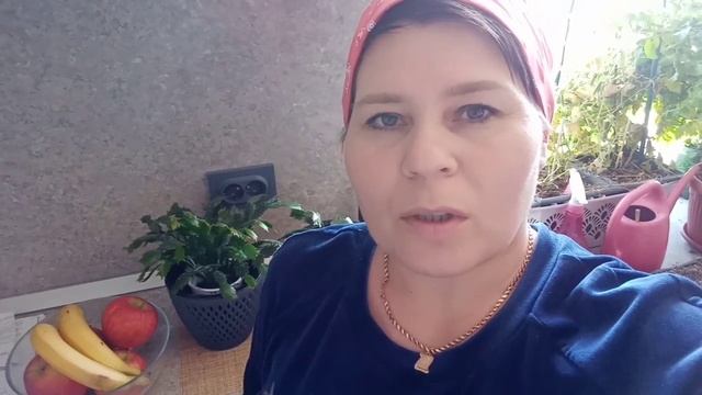 Рассада цветов, томатов. Сею в Плёночный парник семена однолетних цветов и капусту. 22 апреля. смотреть онлайн