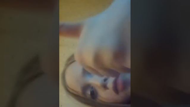 Пою Песню+Мини-Реакция На Кошку Лану и Слушаем музыку!!