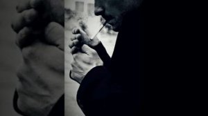 Трутень & Братубрат - В норме