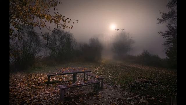 Песня На стихи и-мон Романа. Я родился в ночь осеннюю. смотреть онлайн