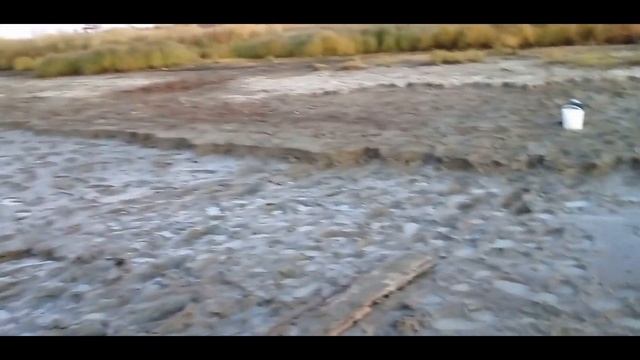 ЛОВИМ НАЛИМА ОСЕНЬЮ. 07.10.2021. ЛАЙК! ПОДПИСКА! смотреть онлайн