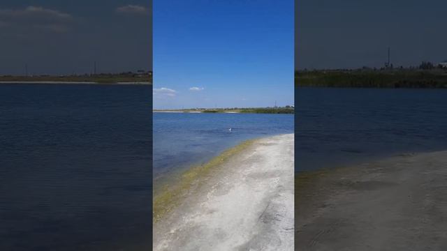 Очень много рыбы,вода словно кипит)) смотреть онлайн