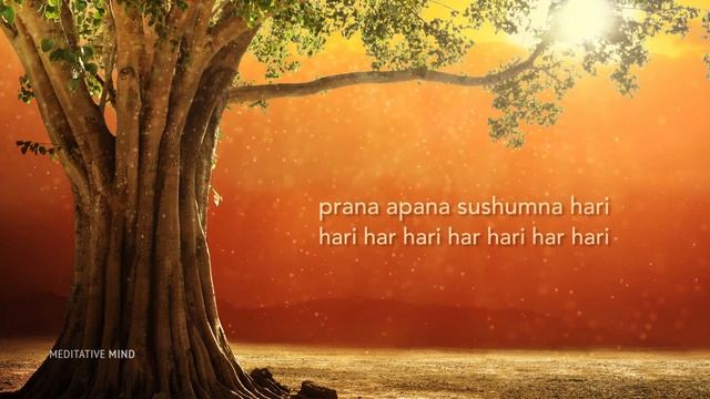 MAGICAL HEALING MANTRA - Prana Apana Sushumna Hari Meditation. смотреть онлайн