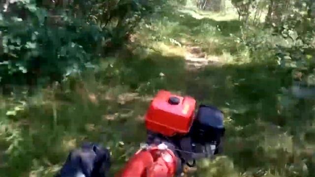 Возим бревна на мотоблоке МТЗ-09Н смотреть онлайн