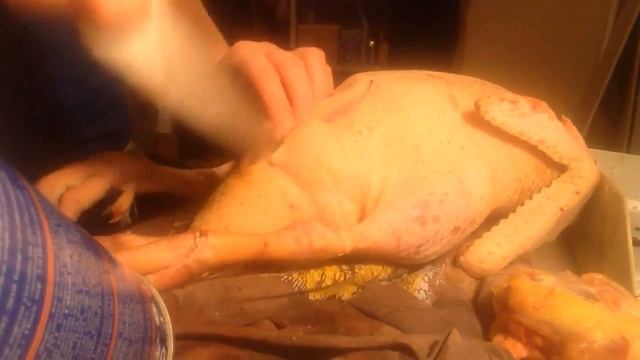 +18 Как я ощипываю и потрошу уток (извиняюсь за видео плохого качества,,потом сниму еще раз) смотреть онлайн