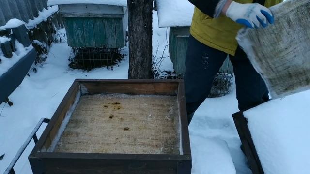 Зимовка без подготовки