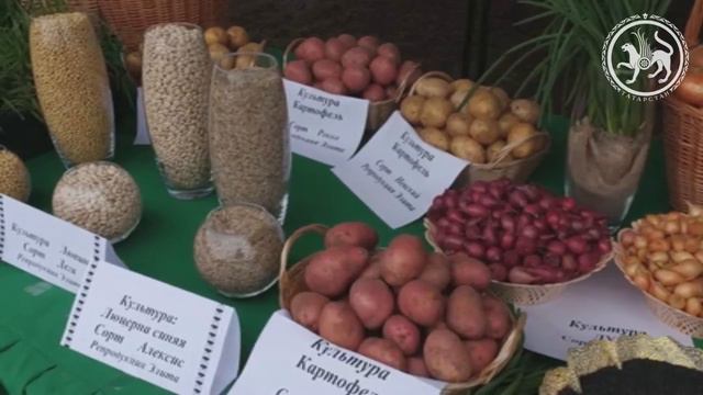 Рабочая поездка Президента Республики Татарстан 10.05.2017 смотреть онлайн