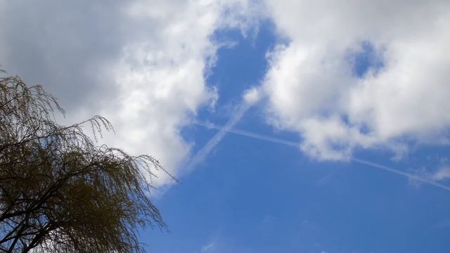 Halo and Sun Eclipse, and a Star or Portal at Broad Daylight ! 1080P HD смотреть онлайн
