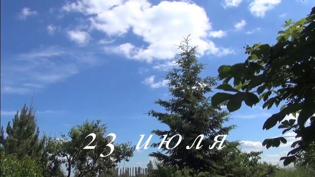 Черешня Владимирской области смотреть онлайн