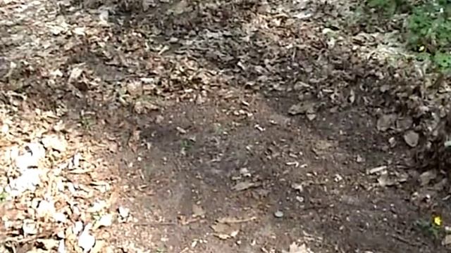 Quasar ARM сравнение с Minelab E Trac смотреть онлайн