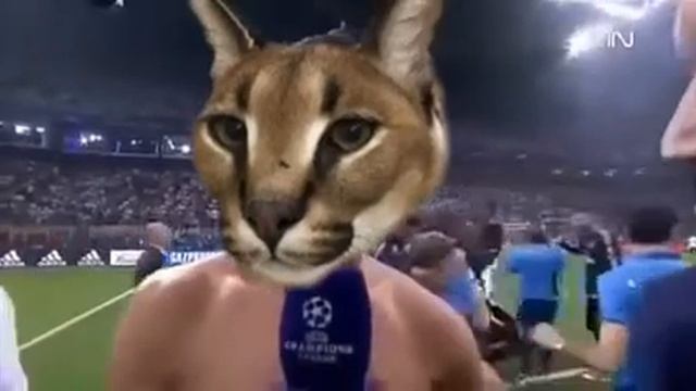 Роналду говорит СУУУУУУУУ но это шлёпа смотреть онлайн