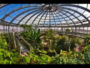 Хотите хороший урожай?  КУПОЛЬНАЯ теплица вам в помощь