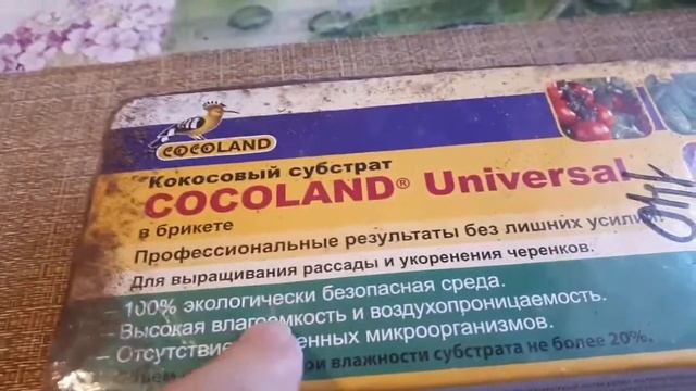 И кокосовый субстрат добавляйте....2021 г. смотреть онлайн